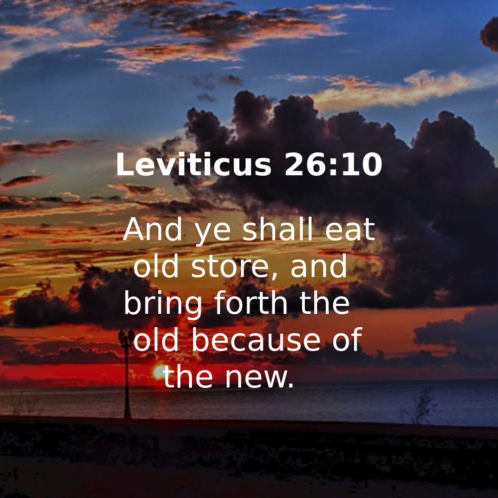 Leviticus 26:10 - Bibleverses.net