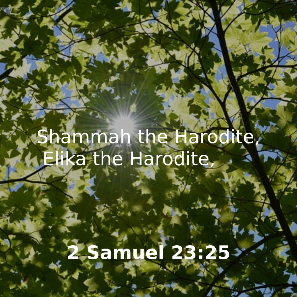 2 Samuel 23:25 - Bibleverses.net
