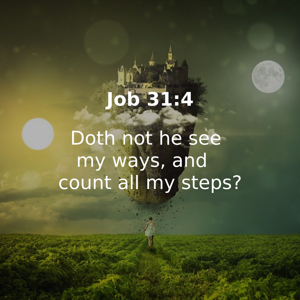 Job 31:4 - Bibleverses.net