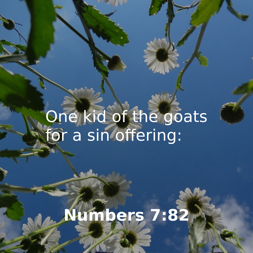 Numbers 7:82 - Bibleverses.net