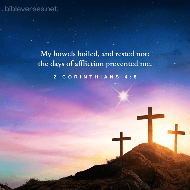 Bible Verse of the Day (KJV) - Bibleverses.net