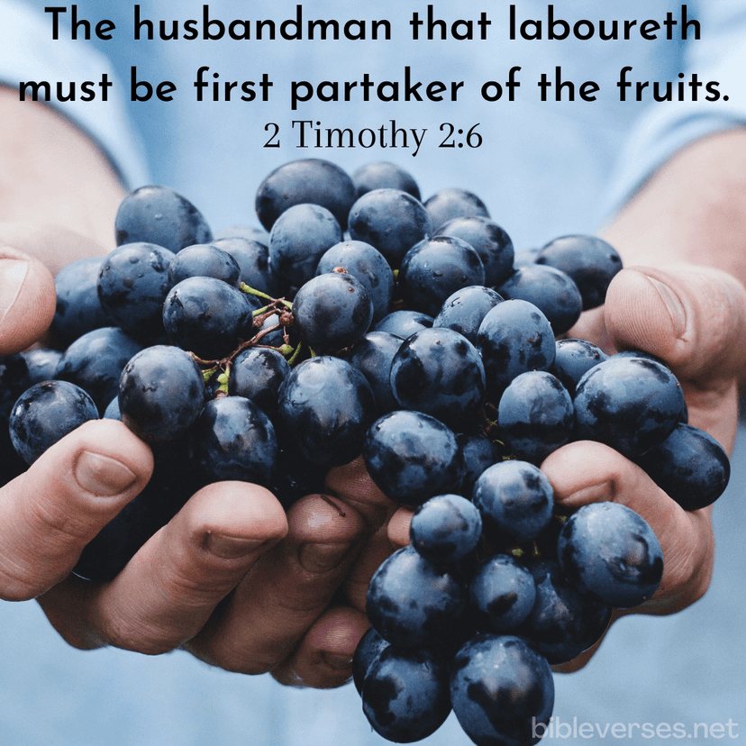 Bible Verse Of The Day (kjv) - Bibleverses.net