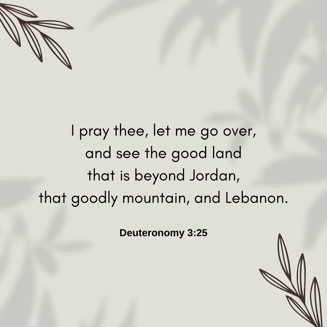 Deuteronomy 3:25 - Bibleverses.net