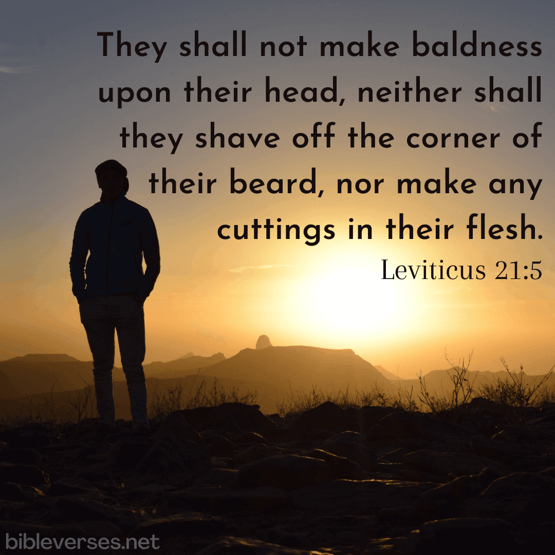 Leviticus 21:5 - Bibleverses.net