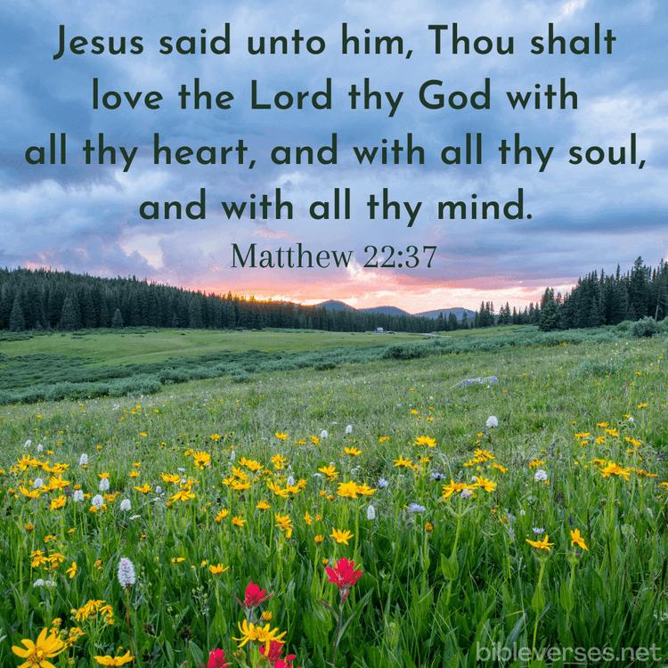 Top 12 Bible Verses about Love (KJV) - Bibleverses.net