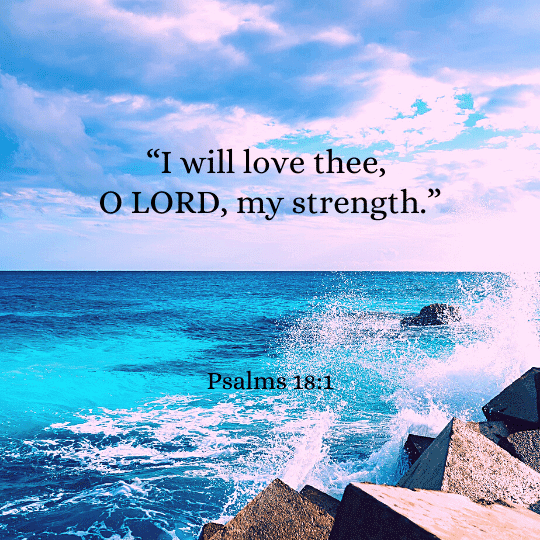 Top 12 Bible Verses about Love (KJV) - Bibleverses.net