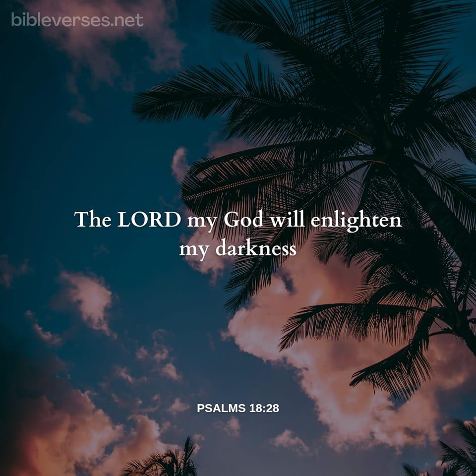 Psalms 18:28 - Bibleverses.net