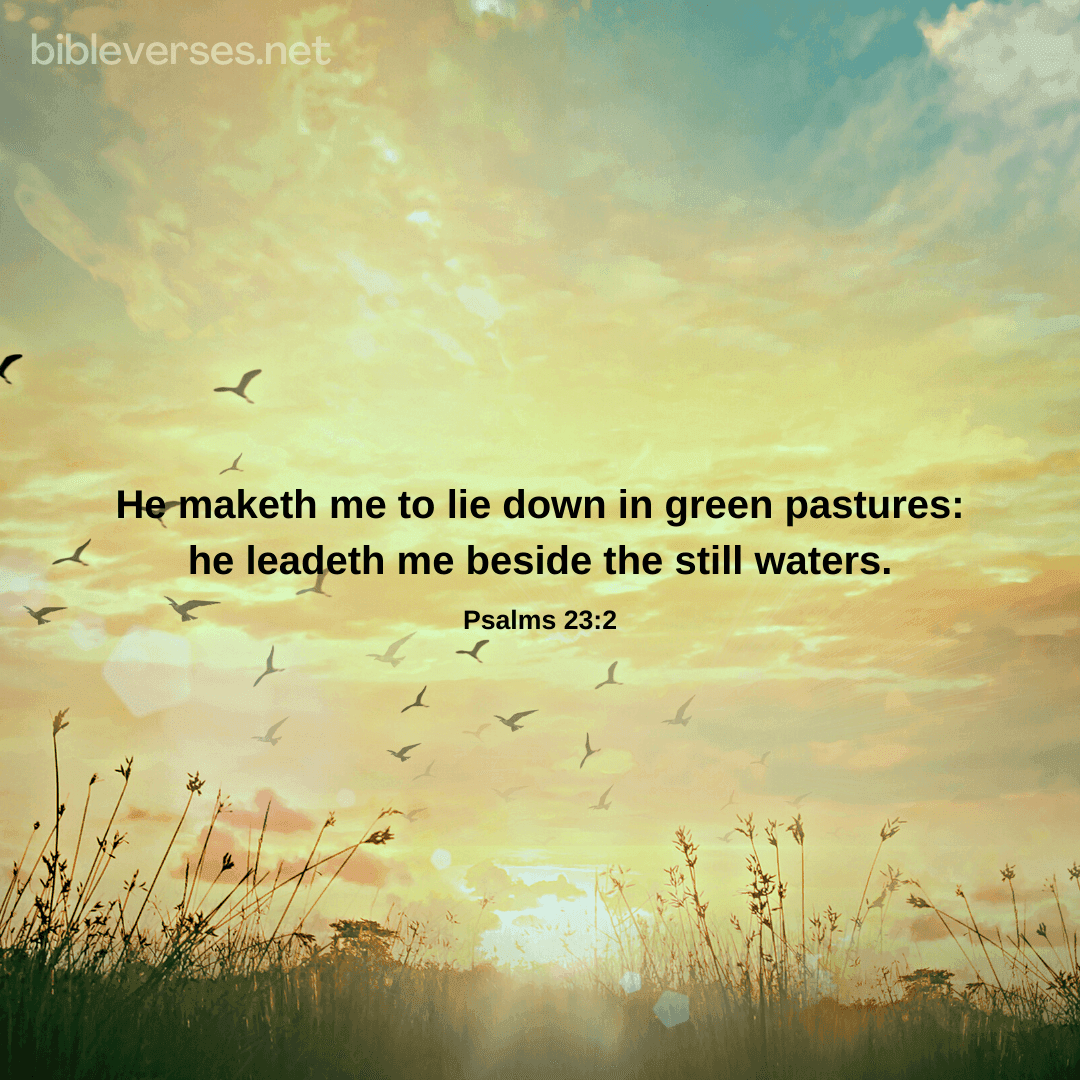 Psalms 23:2 - Bibleverses.net