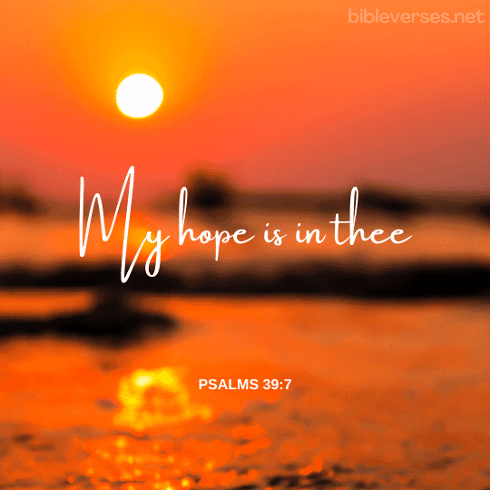 Top 10 Bible Verses about Hope (KJV)