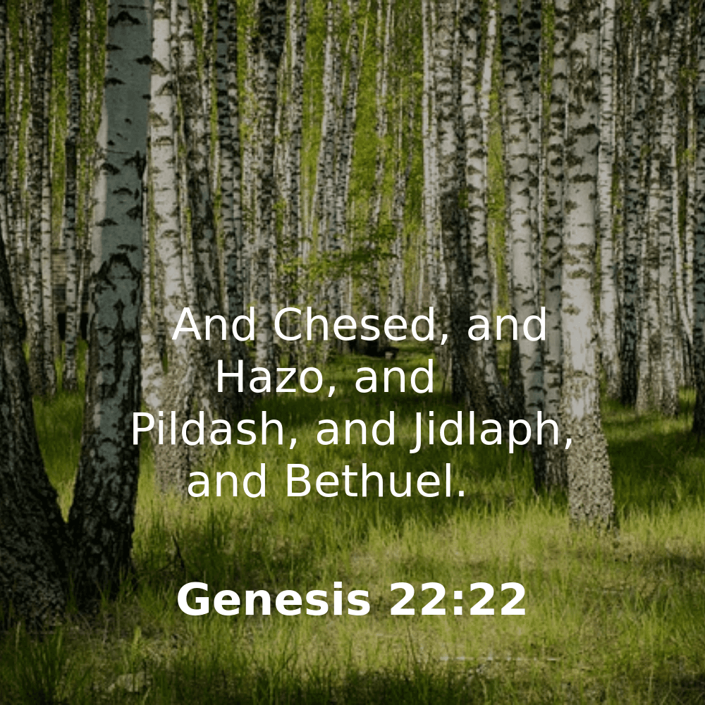 Genesis 22:22 - Bibleverses.net