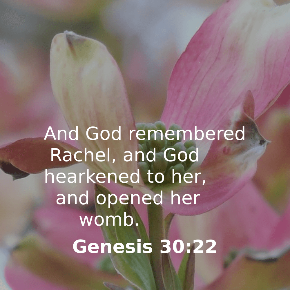 Genesis 30:22 - Bibleverses.net
