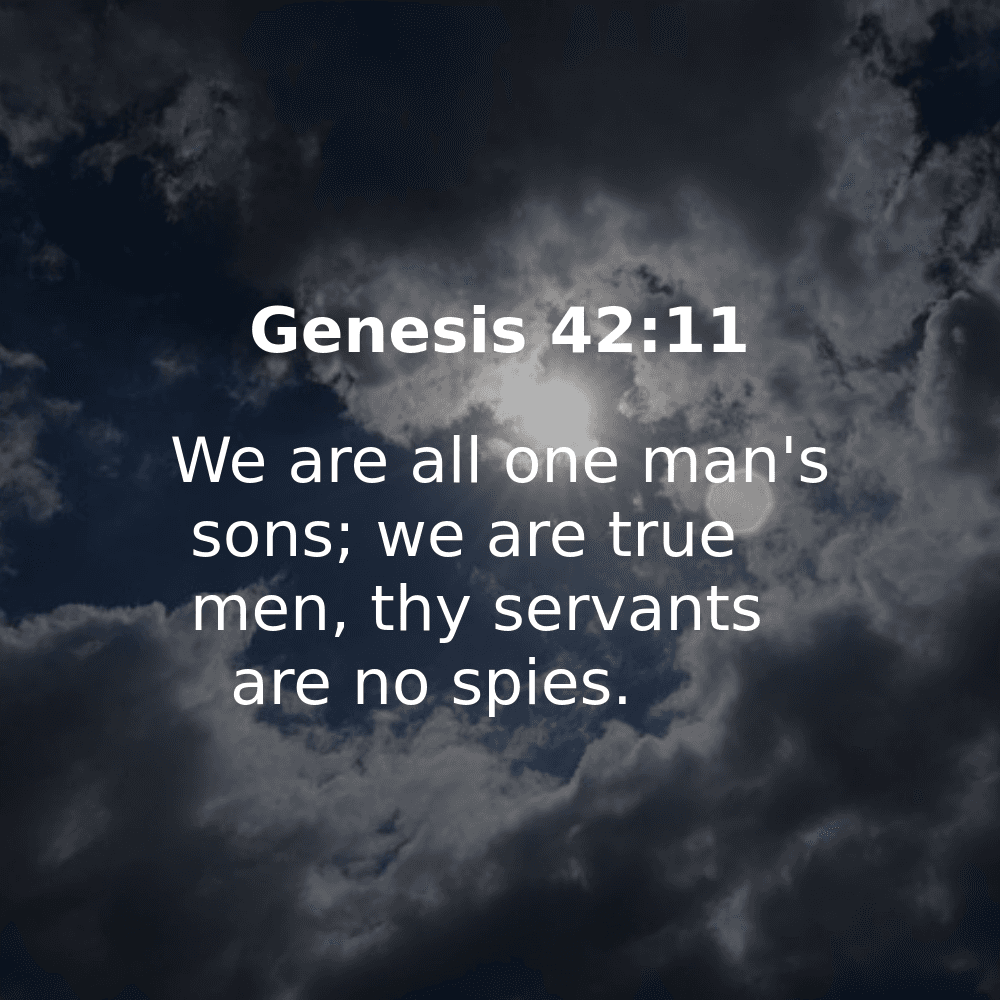 Genesis 42:11 - Bibleverses.net