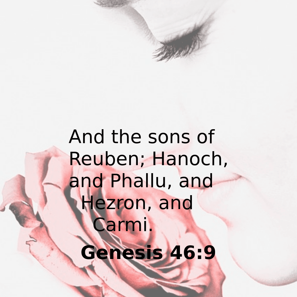 Genesis 46:9 - Bibleverses.net
