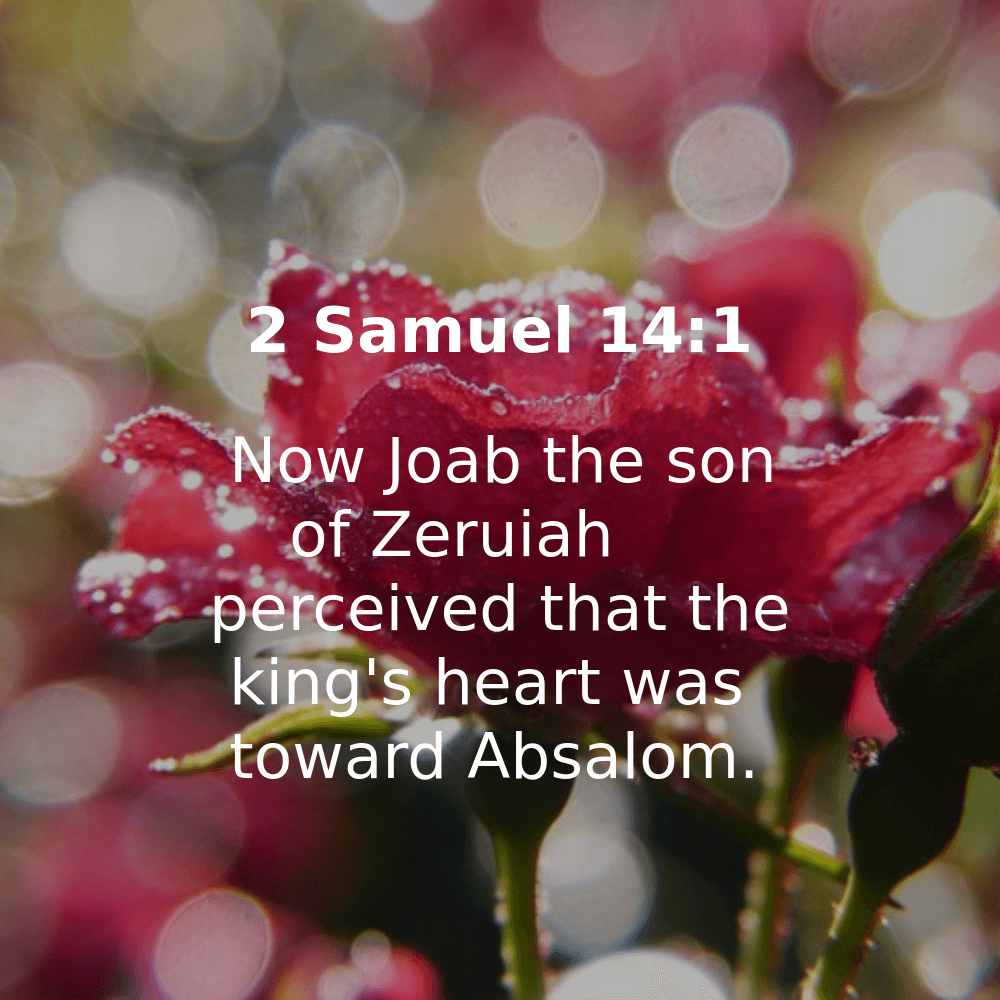 2 Samuel 14:1 - Bibleverses.net