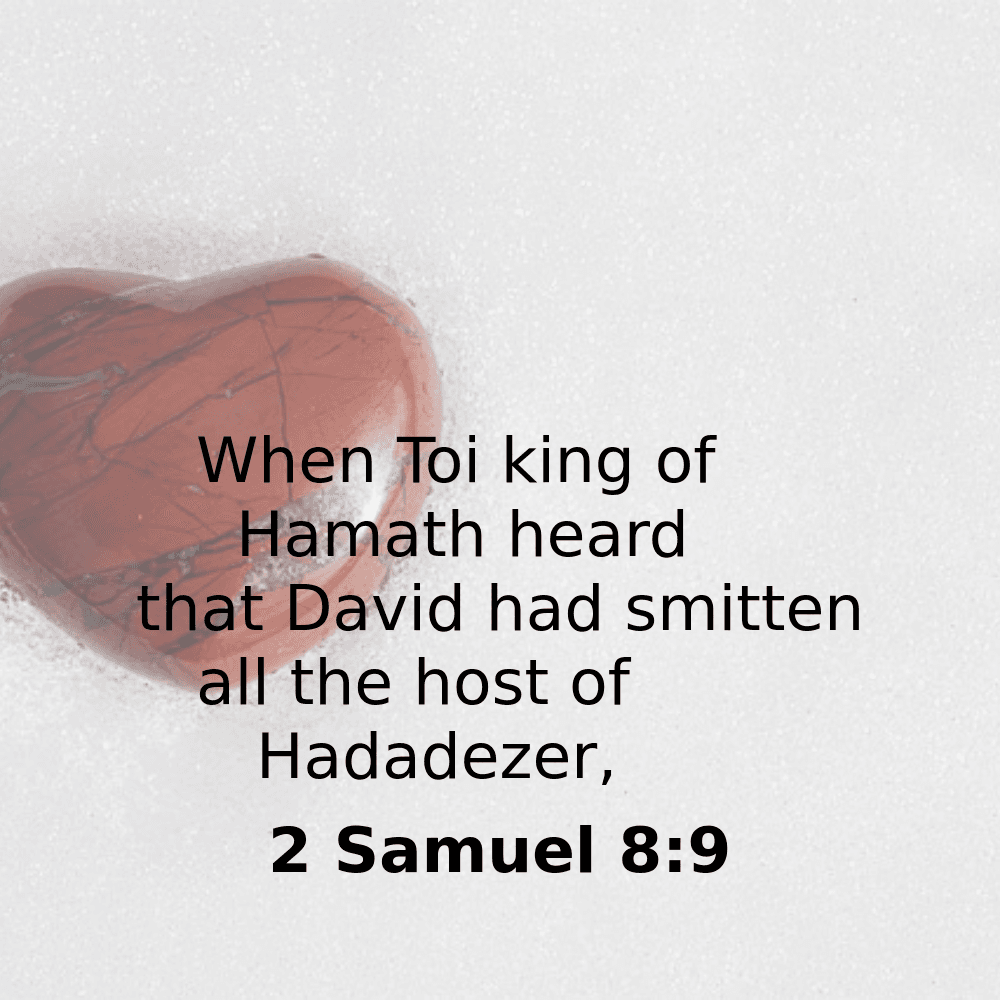 2 Samuel 8:9 - Bibleverses.net