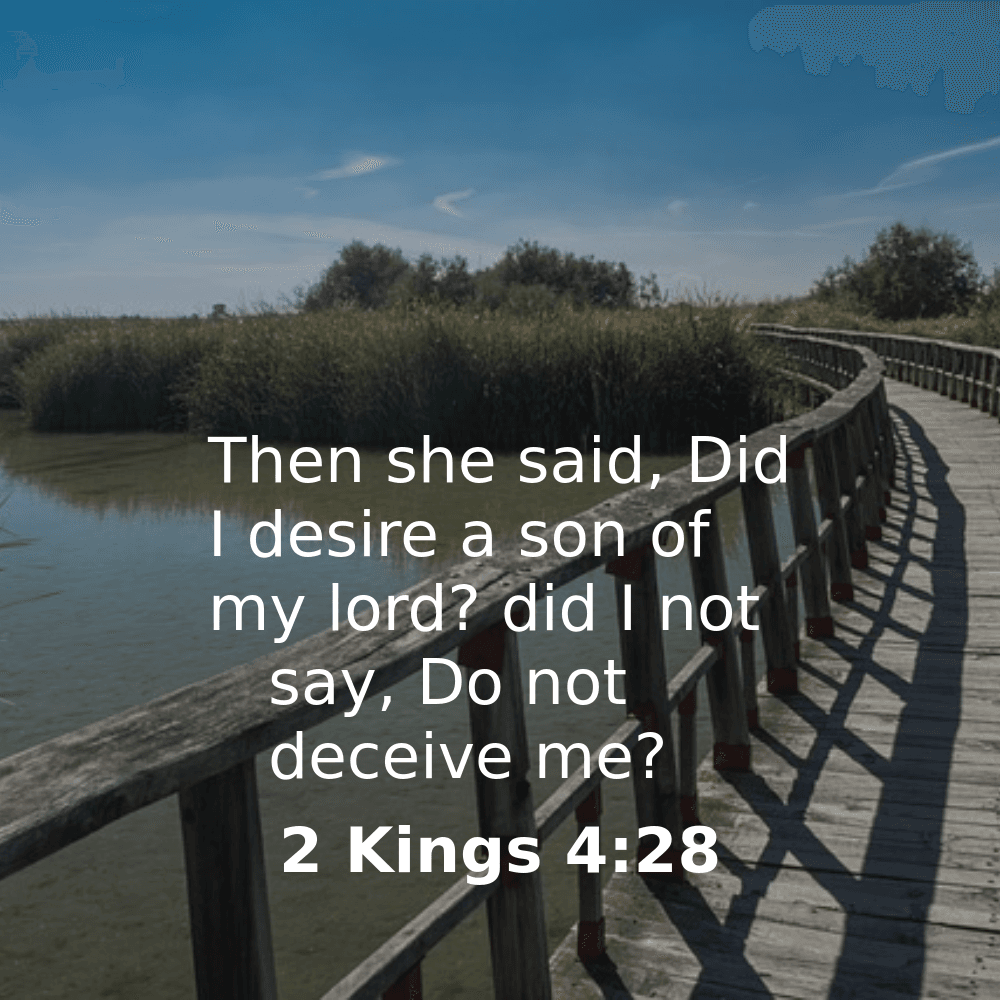 2 Kings 4:28 - Bibleverses.net