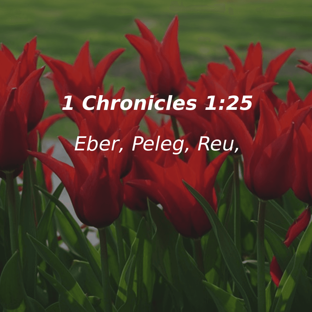 1 Chronicles 1:25 - Bibleverses.net