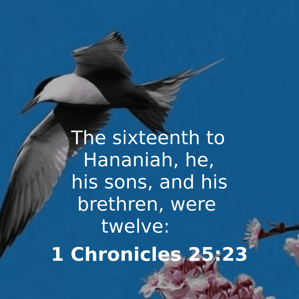 1 Chronicles 25:23 - Bibleverses.net