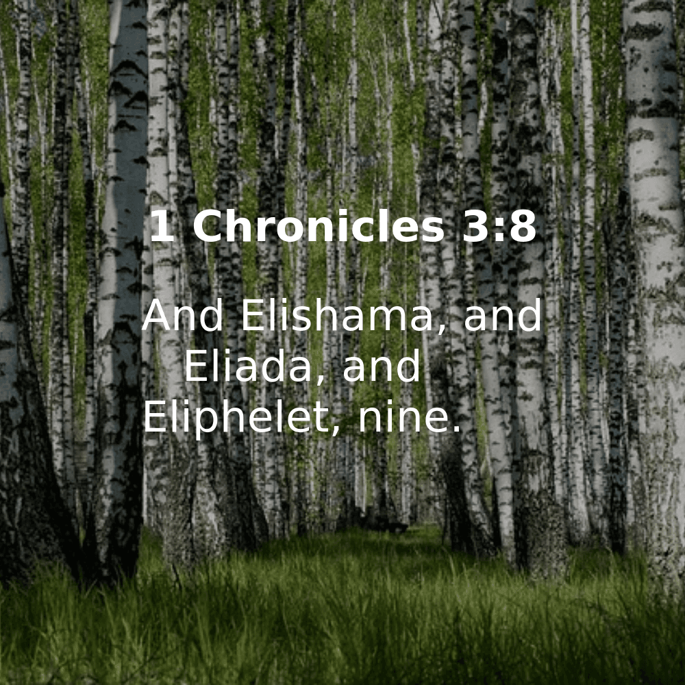 1 Chronicles 3:8 - Bibleverses.net