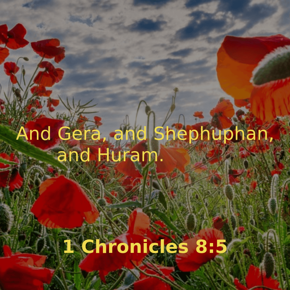 1 Chronicles 8:5 - Bibleverses.net