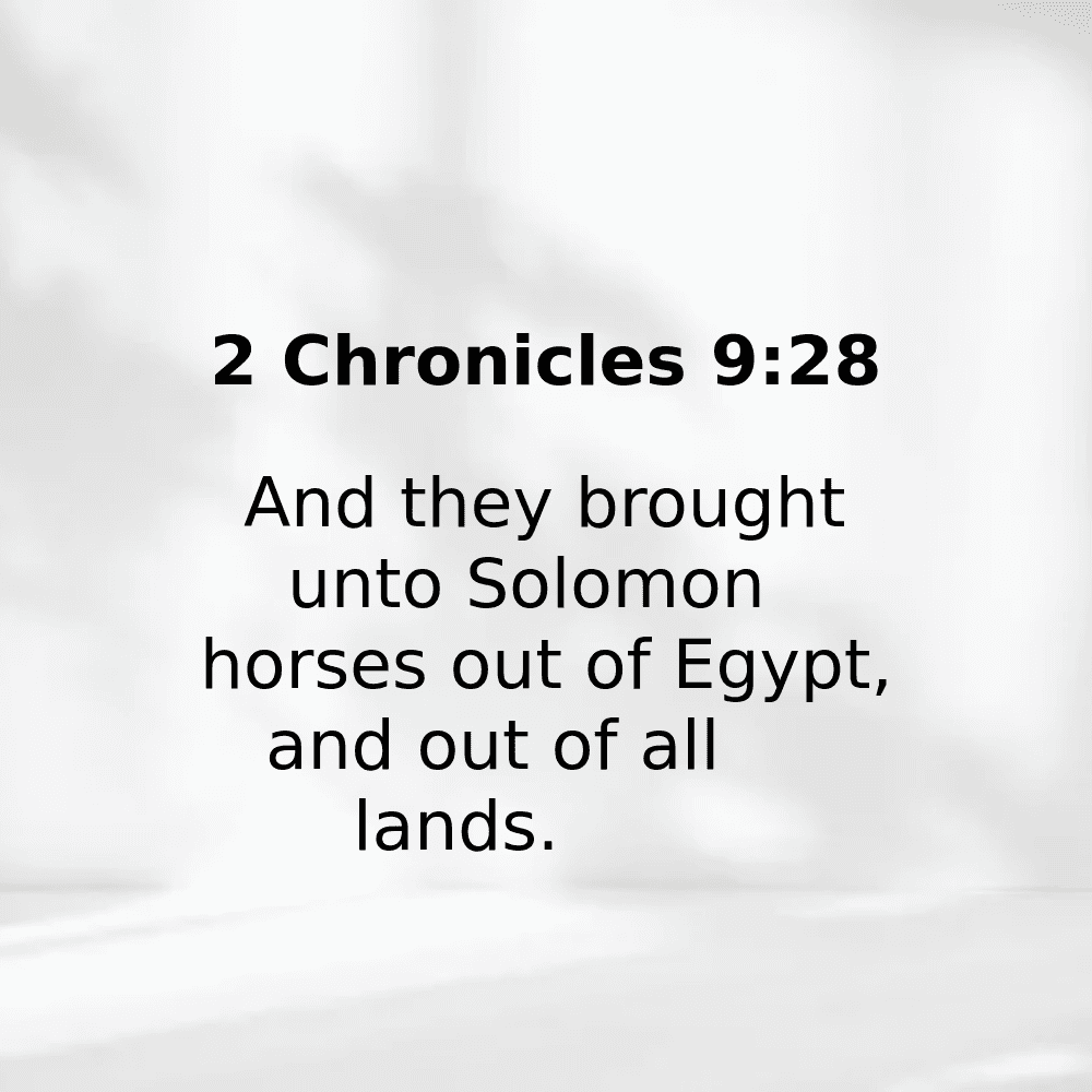 2 Chronicles 9:28 - Bibleverses.net