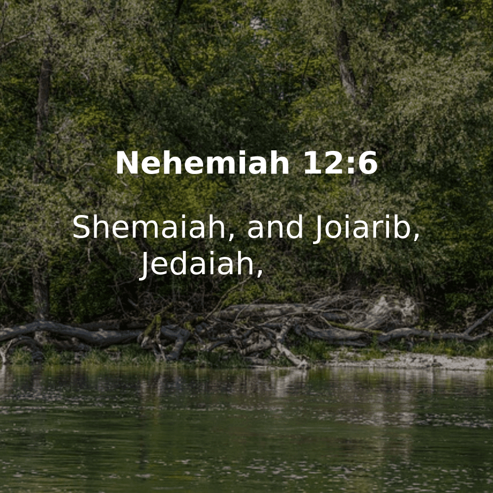 Nehemiah 12:6 - Bibleverses.net