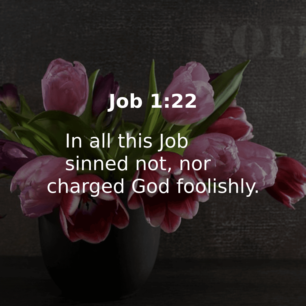 Job 1:22 - Bibleverses.net