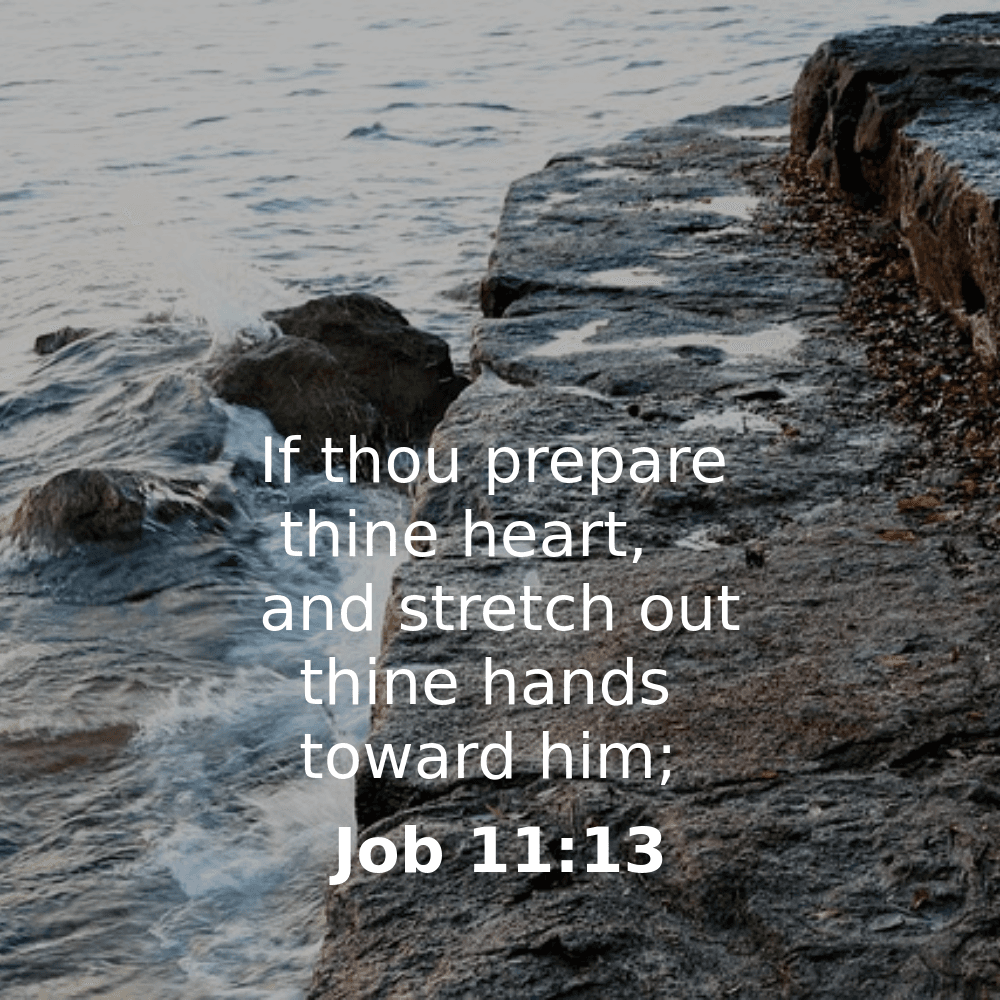 Job 11:13 - Bibleverses.net