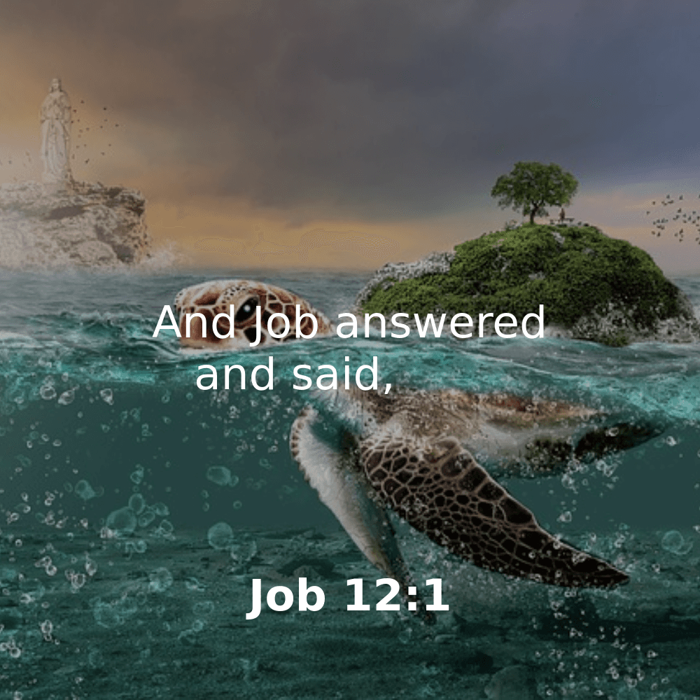 Job 12:1 - Bibleverses.net