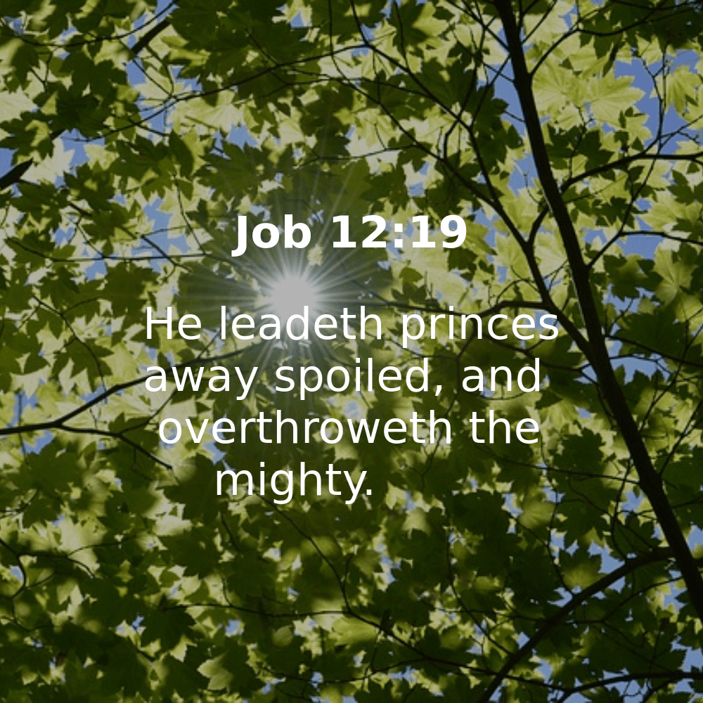 Job 12:19 - Bibleverses.net