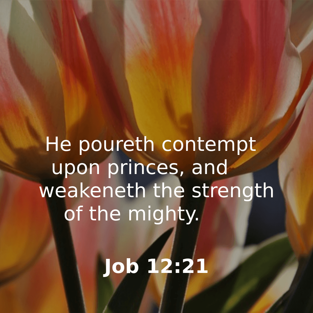 Job 12:21 - Bibleverses.net