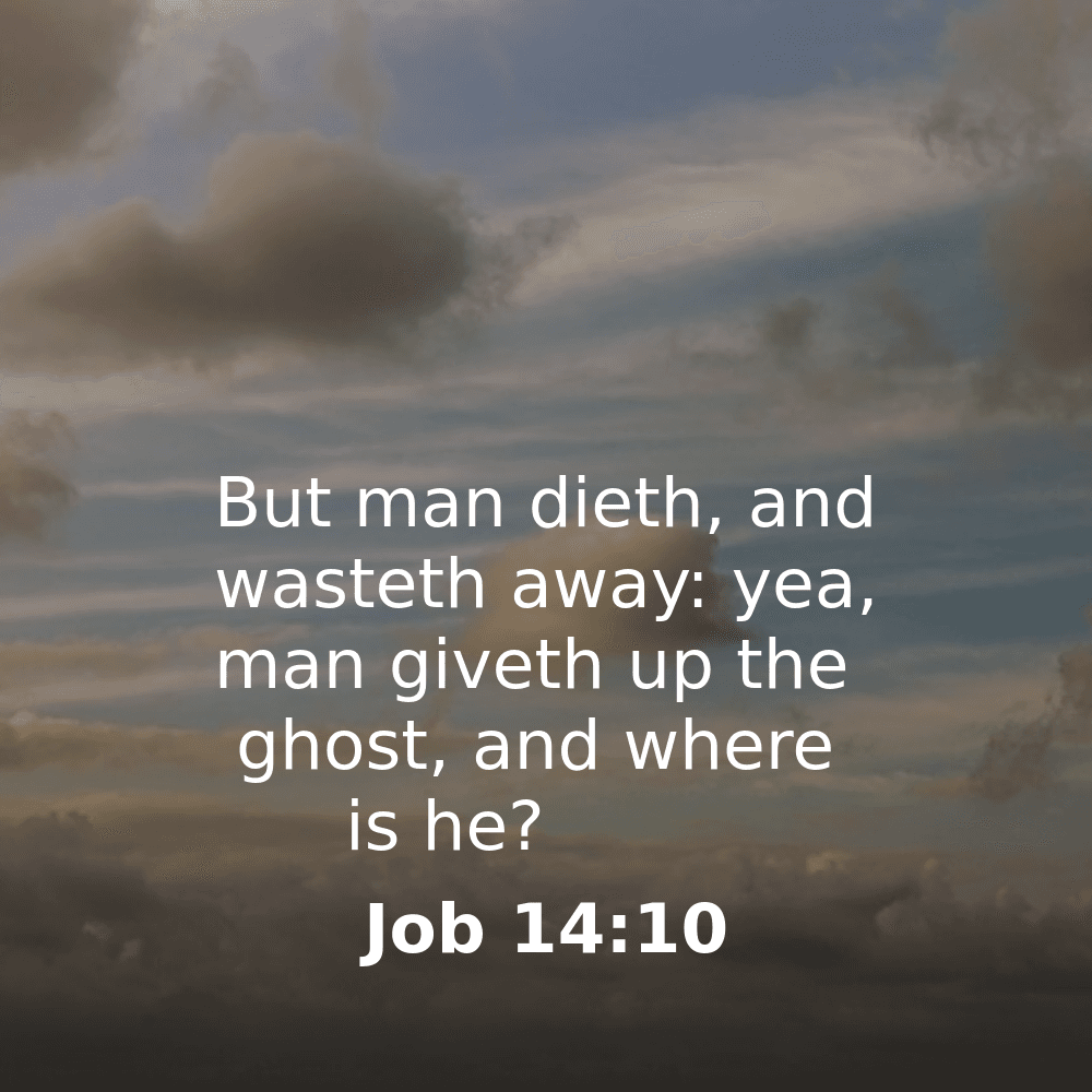 Job 14:10 - Bibleverses.net