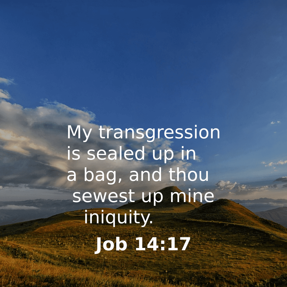 Job 14:17 - Bibleverses.net