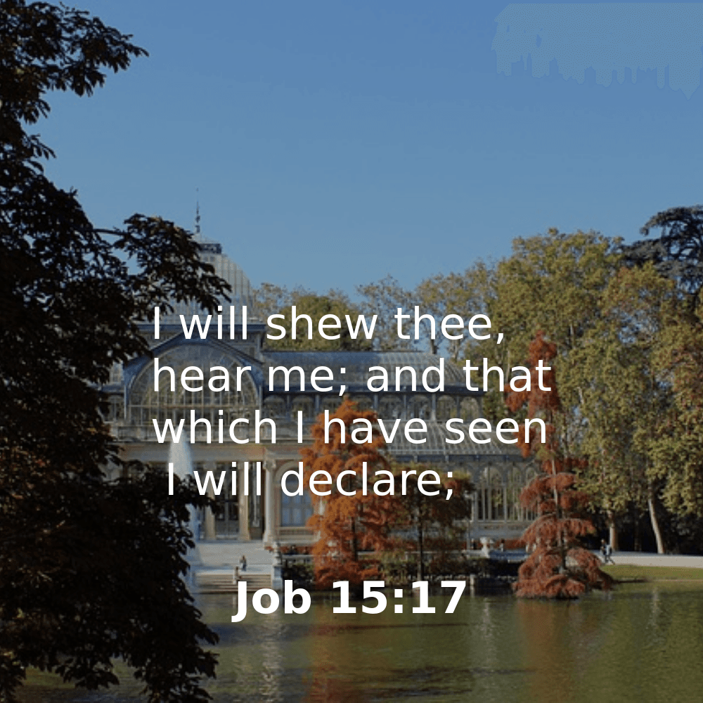 Job 15:17 - Bibleverses.net