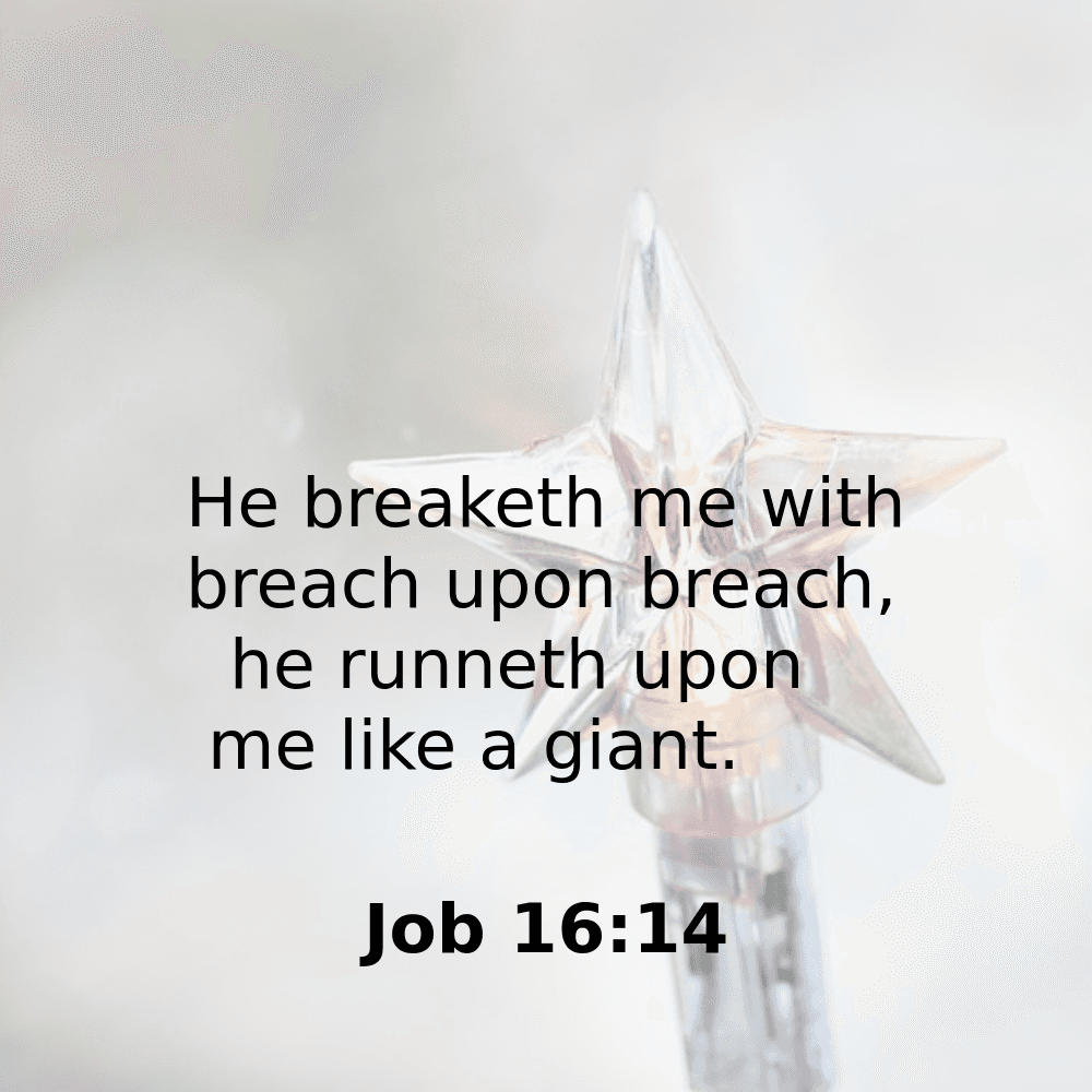 Job 16:14 - Bibleverses.net