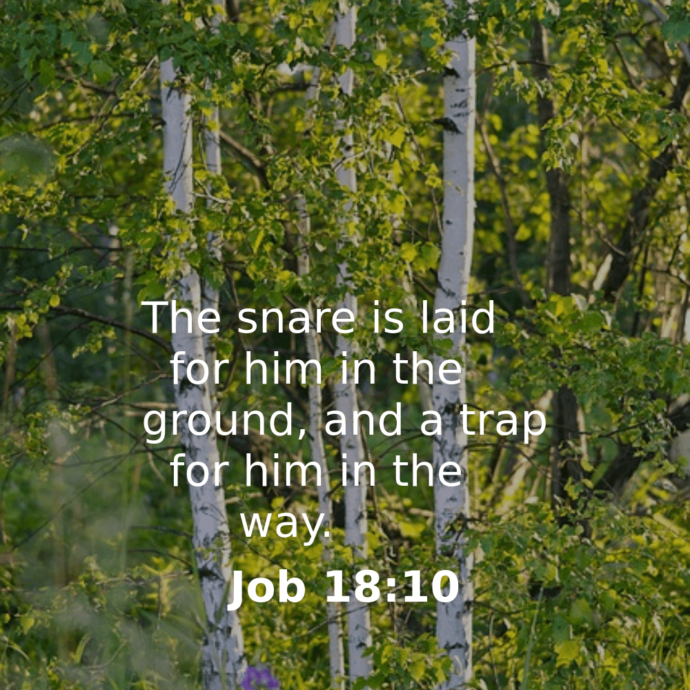 Job 18:10 - Bibleverses.net