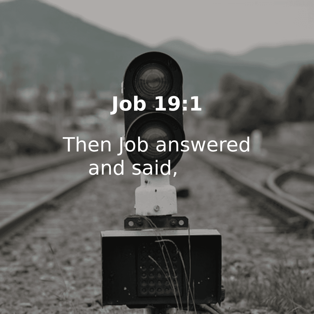 Job 19:1 - Bibleverses.net