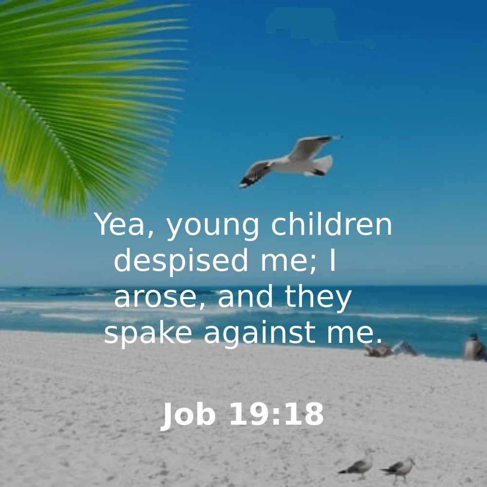 Job 19:18 - Bibleverses.net