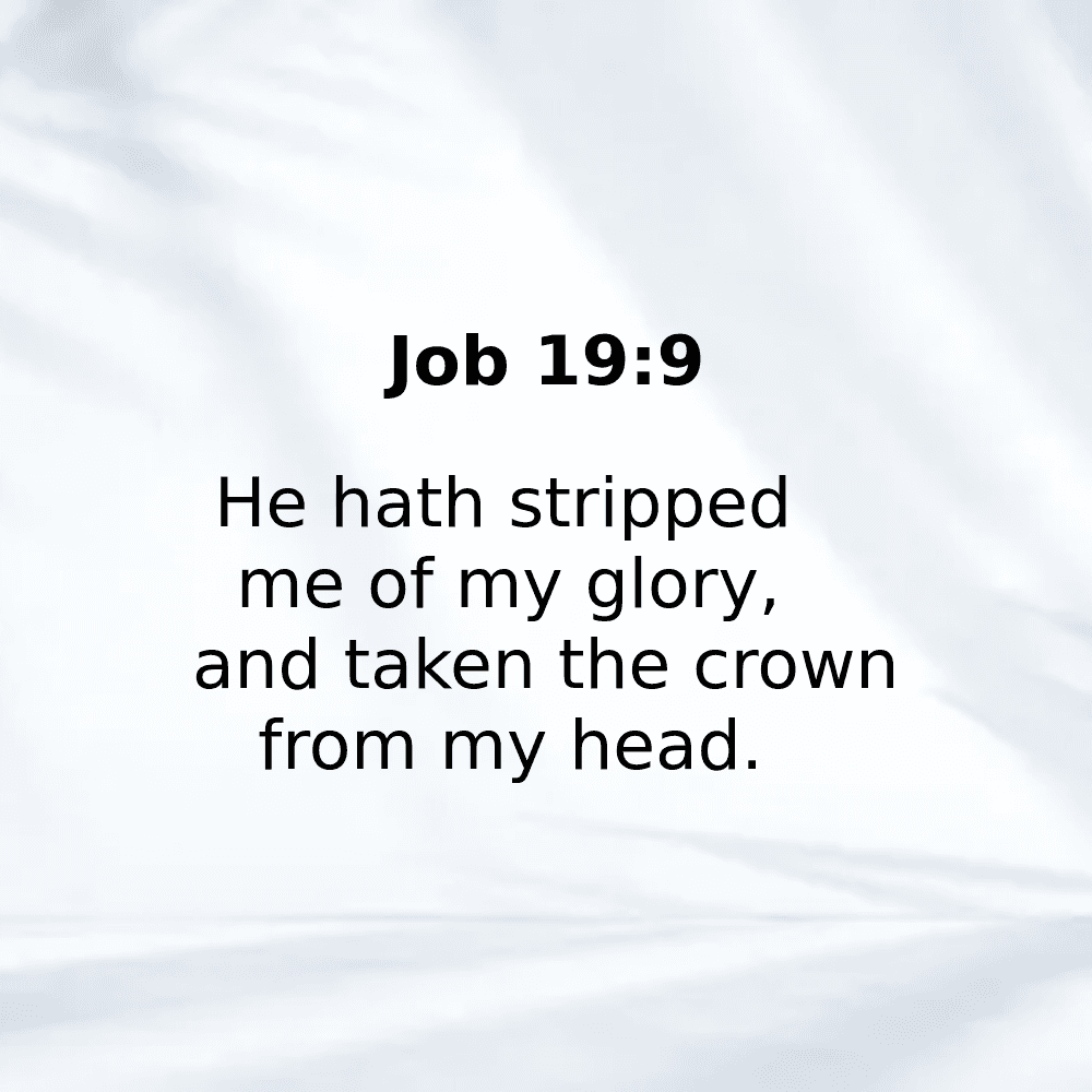 Job 19:9 - Bibleverses.net