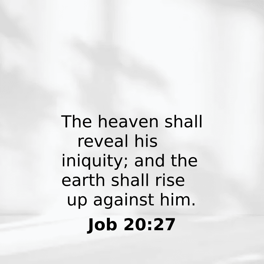 Job 20:27 - Bibleverses.net