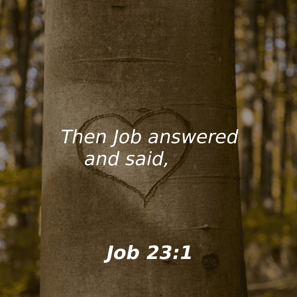 Job 23:1 - Bibleverses.net