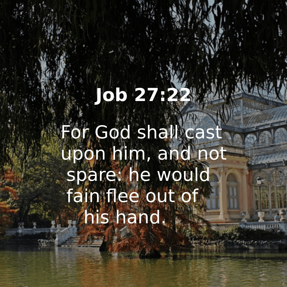 Job 27:22 - Bibleverses.net