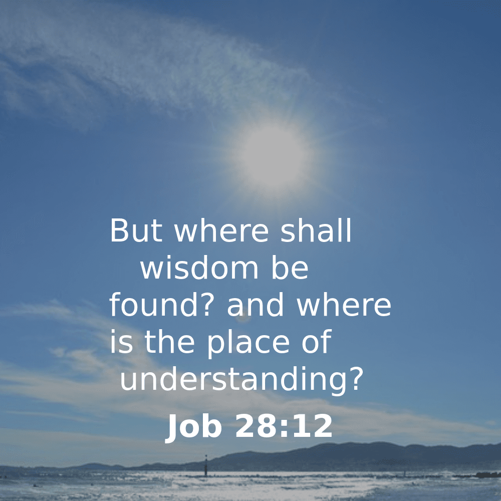 Job 28:12 - Bibleverses.net