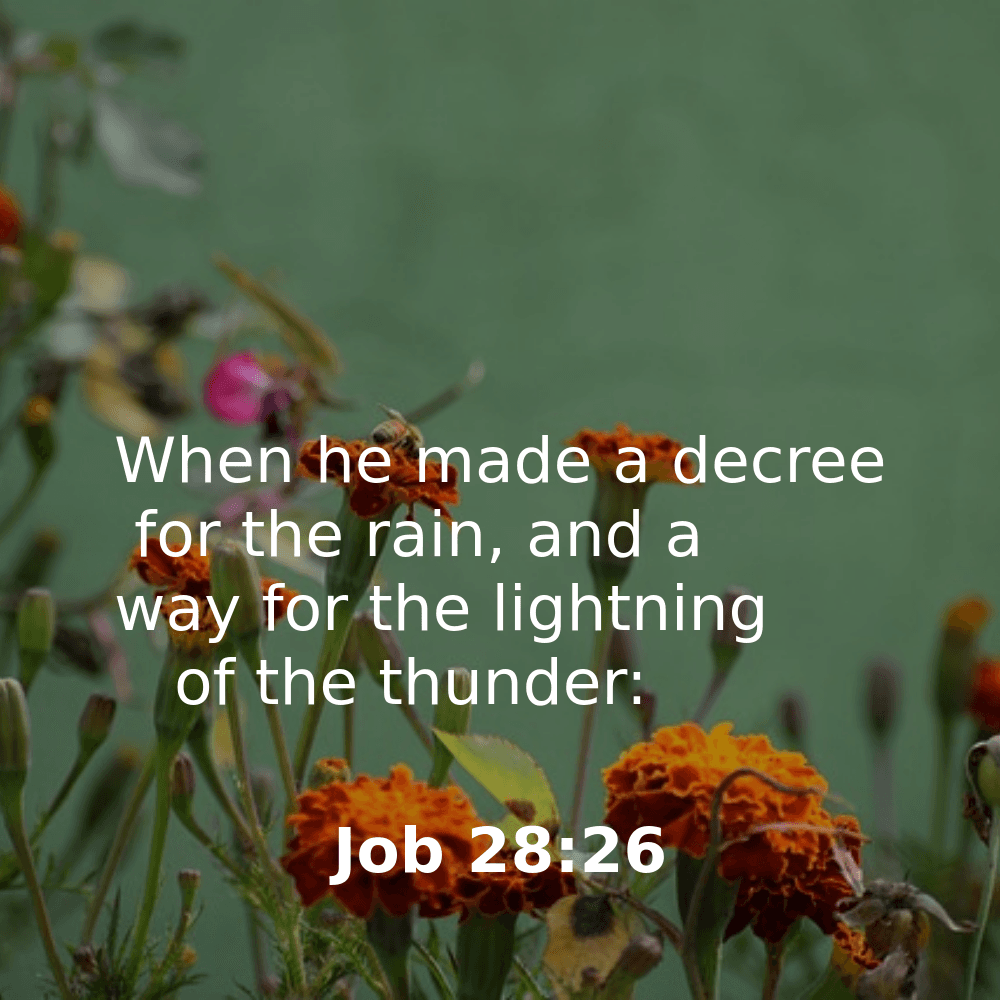 Job 28:26 - Bibleverses.net