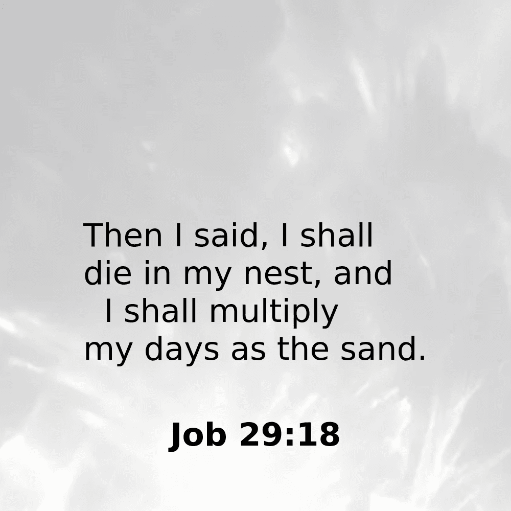 Job 29:18 - Bibleverses.net