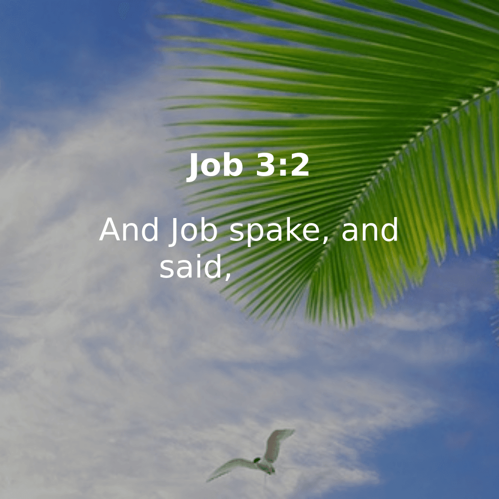 Job 3:2 - Bibleverses.net