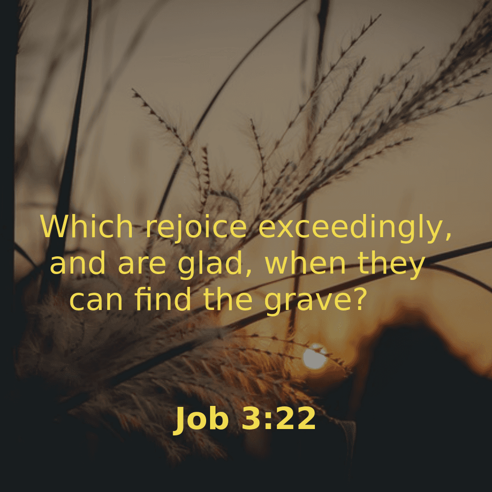 Job 3:22 - Bibleverses.net