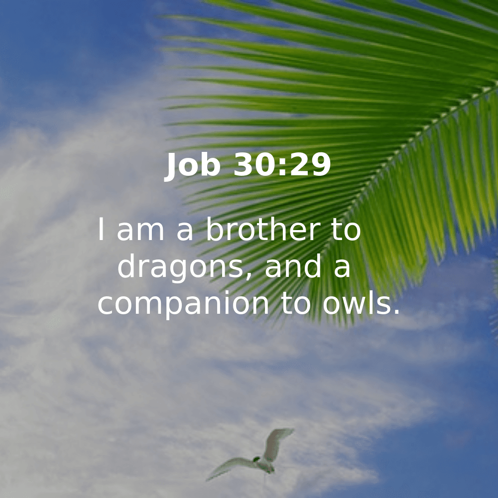 Job 30:29 - Bibleverses.net