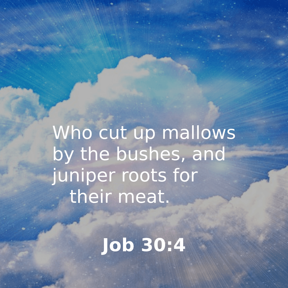 Job 30:4 - Bibleverses.net