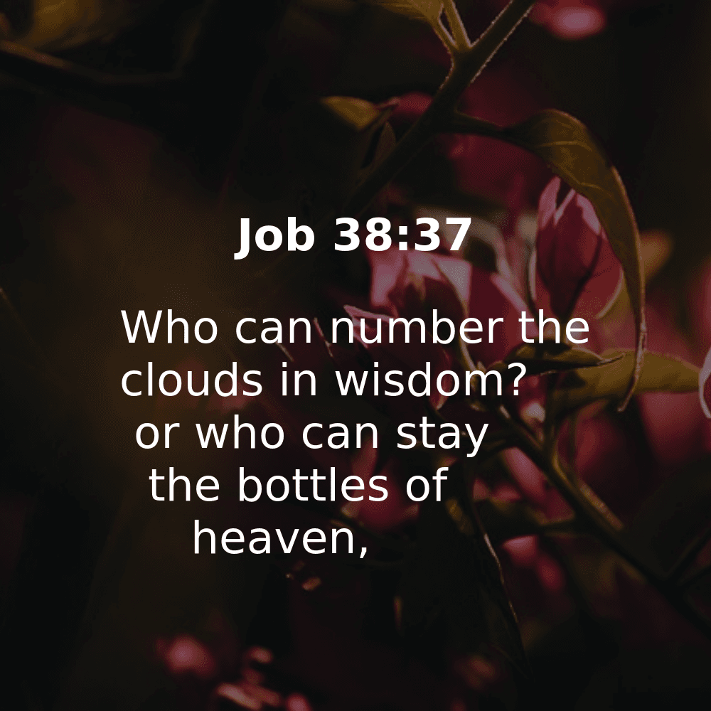 Job 38:37 - Bibleverses.net